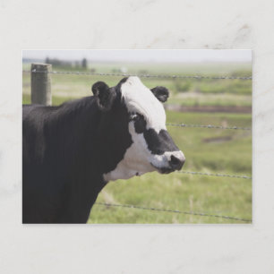 Moseleigh, Alberta, Canada Briefkaart