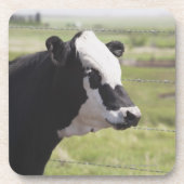 Moseleigh, Alberta, Canada Drankjes Onderzetter (Voorkant)