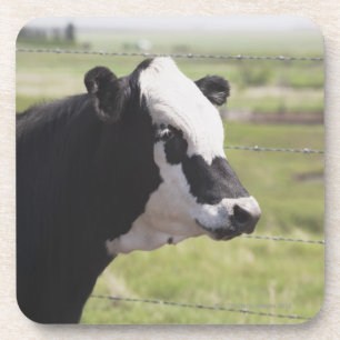 Moseleigh, Alberta, Canada Drankjes Onderzetter