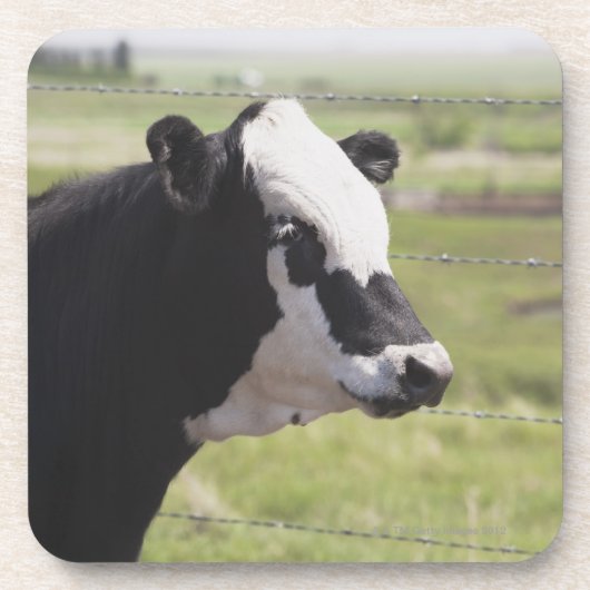 Moseleigh, Alberta, Canada Drankjes Onderzetter (Voorkant)