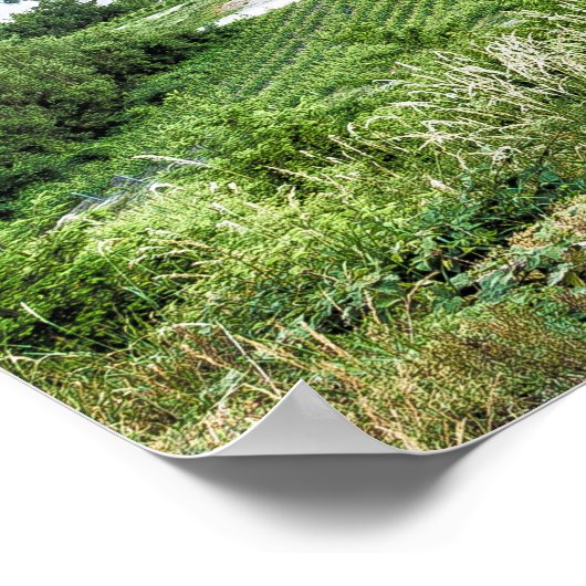 Moselle Loop Sunset Kroev Panorama Duitsland Poster (Hoek)