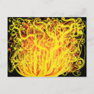 Moses Burning Struik Fire Christelijke Prophetic A Briefkaart