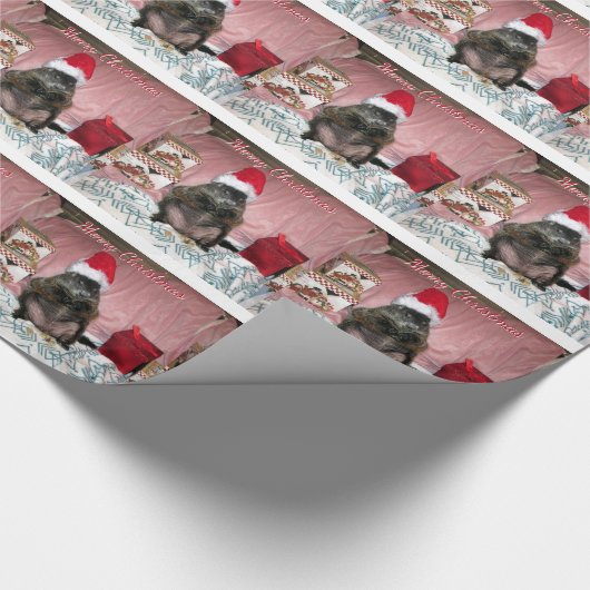 Moses kerstpapier cadeaupapier (Hoek)