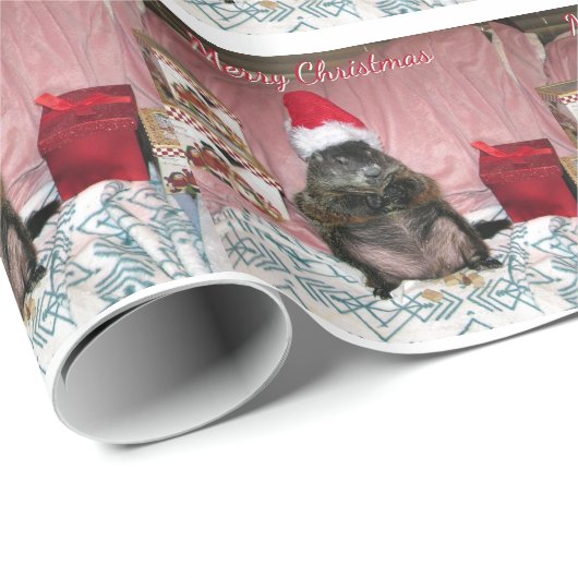 Moses kerstpapier cadeaupapier (Rol Hoek)