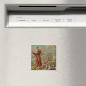Moses Onderdelen het Rode Zee Magneet (Insitu (Vaatwasser))