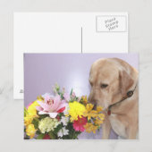 Moses Smells Flowers Briefkaart (Voorkant / Achterkant)