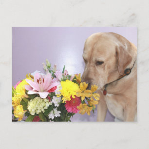 Moses Smells Flowers Briefkaart