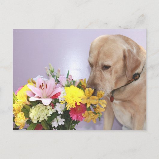 Moses Smells Flowers Briefkaart (Voorkant)