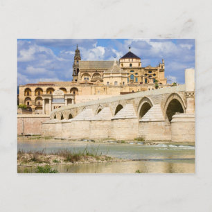 Moskekathedraal en Romeinse brug in Cordoba Briefkaart