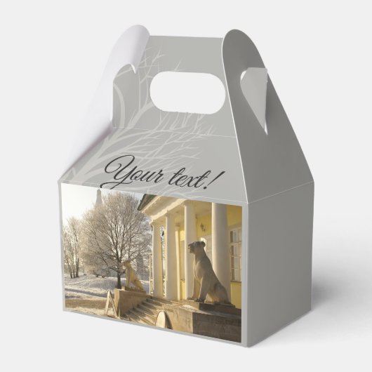 Moskou. Winter. leeuwsculptuur. Bedankdoosjes (Voorkant Zijde)