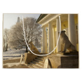 Moskou. Winter. leeuwsculptuur. Groot Cadeauzakje (Voorkant)