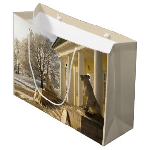 Moskou. Winter. leeuwsculptuur. Groot Cadeauzakje