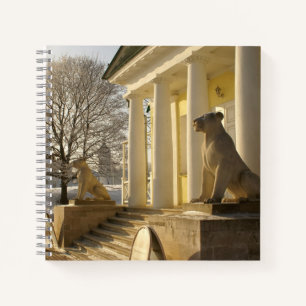 Moskou. Winter. leeuwsculptuur. Notitieboek