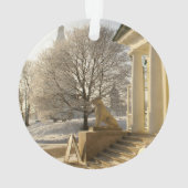 Moskou. Winter. leeuwsculptuur Ornament (achterkant)