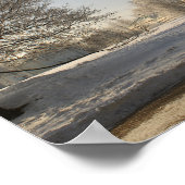 Moskou. Winter. leeuwsculptuur. Poster (Hoek)