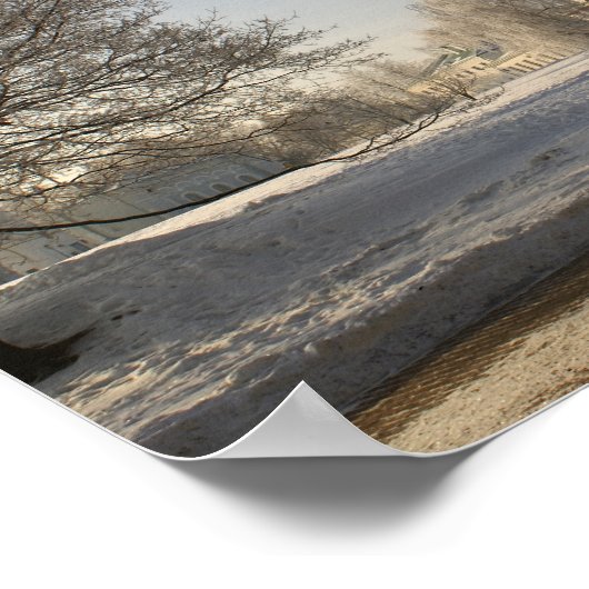 Moskou. Winter. leeuwsculptuur. Poster (Hoek)