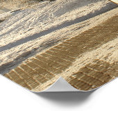 Moskou. Winter. leeuwsculptuur. Poster (Hoek)