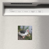 Moskovige Eend Moeder met Eenden Magneet (Insitu (Vaatwasser))