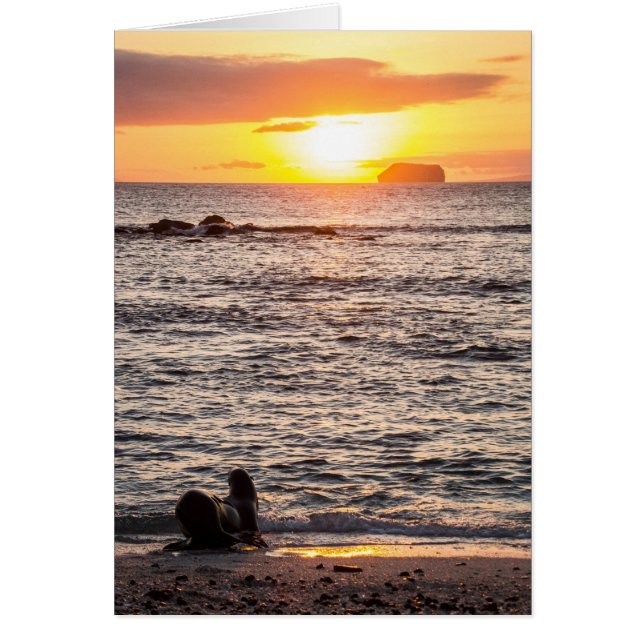 Mosquera Islet Sunset (Voorkant)