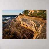 Mosquito Beach Poster (Voorkant)