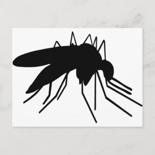 Mosquito Briefkaart