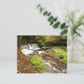 Mosquito Herfsten Briefkaart (Staand voorkant)