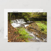 Mosquito Herfsten Briefkaart (Voorkant / Achterkant)