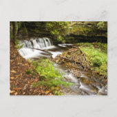 Mosquito Herfsten Briefkaart (Voorkant)