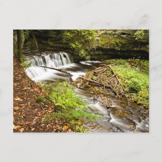 Mosquito Herfsten Briefkaart (Voorkant)