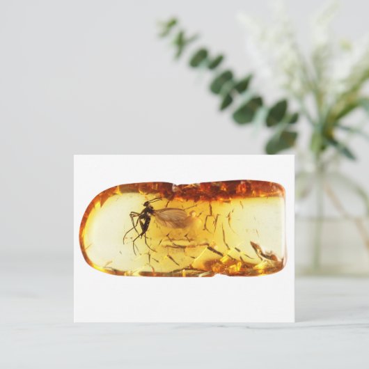Mosquito in amber briefkaart (Staand voorkant)