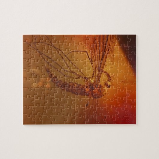 MOSQUITO IN AMBER LEGPUZZEL (Horizontaal)