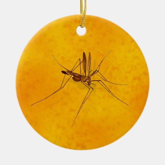 Mosquito in Amber Sap Fossil Replica Prehistorisch Keramisch Ornament (Voorkant)