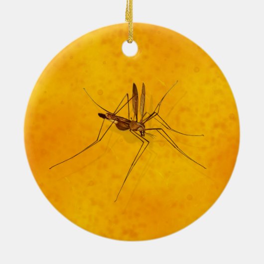 Mosquito in Amber Sap Fossil Replica Prehistorisch Keramisch Ornament (Achterkant)