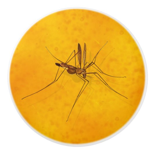 Mosquito in Amber Sap Fossil Replica Prehistorisch Keramische Knop (Voorkant)