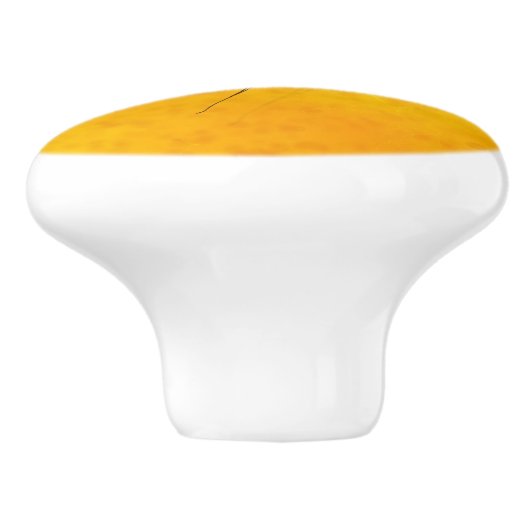 Mosquito in Amber Sap Fossil Replica Prehistorisch Keramische Knop (Zijkant)