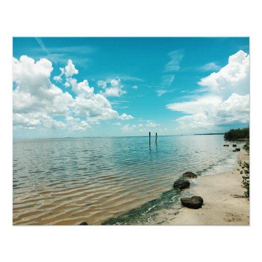 Mosquito Lagoon Florida Water Blue Sky Foto Afdruk (Voorkant)