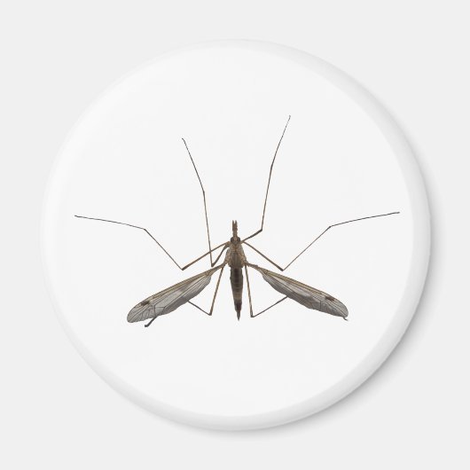 Mosquito Magneet (Voorkant)