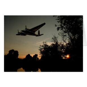 Mosquito Night Hunter