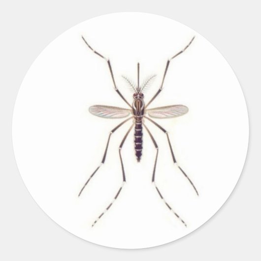 Mosquito POWER Ronde Sticker (Voorkant)