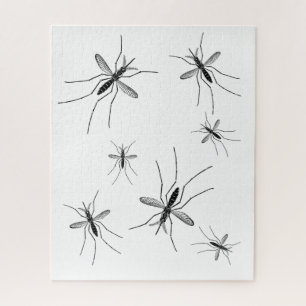 Mosquito Puzzle White Achtergrond Legpuzzel