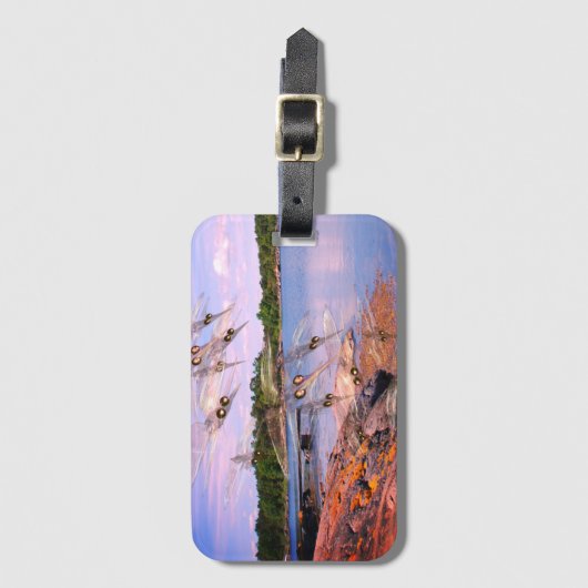 Mosquito swarm, scandinavia fjord, bagagelabel (Voorkant (verticaal))