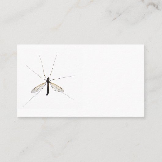 Mosquito Visitekaartje (Voorkant)