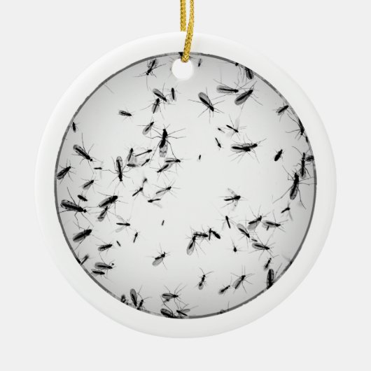 Mosquitos Keramisch Ornament (Voorkant)