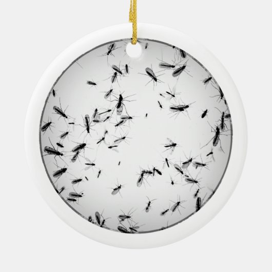 Mosquitos Keramisch Ornament (Achterkant)