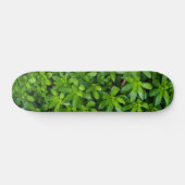 Moss Abstract Persoonlijk Skateboard (Horizontaal)