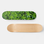 Moss Abstract Persoonlijk Skateboard (Horizontaal)