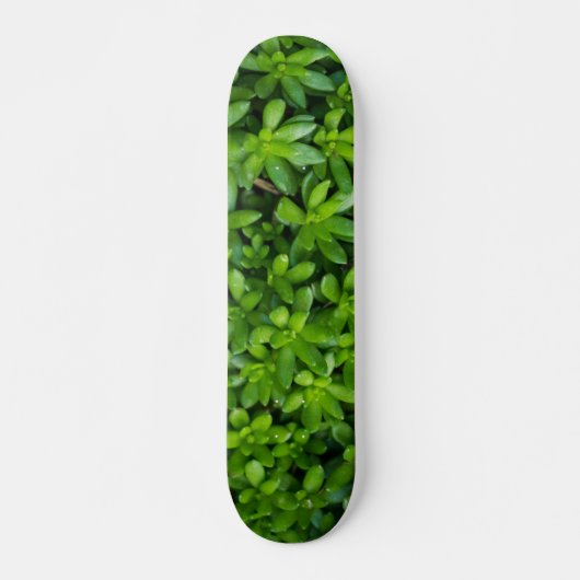 Moss Abstract Persoonlijk Skateboard (Voorkant)
