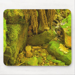 Moss and Stone – Hungarian Falls, Upper Peninsula Muismat