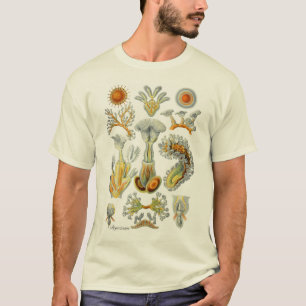 Moss Animals T-shirt