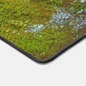 Moss Birch Tree Bark Rustic Country Natuur Foto Bureaumat (Hoek)